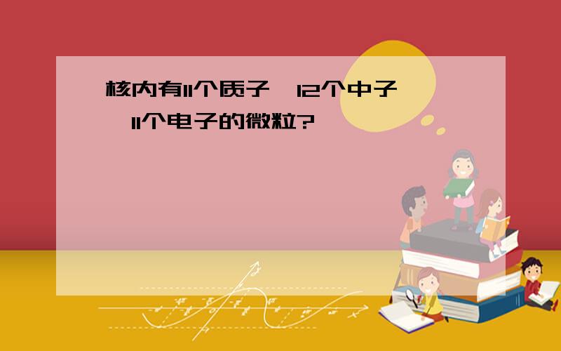 核内有11个质子,12个中子,11个电子的微粒?