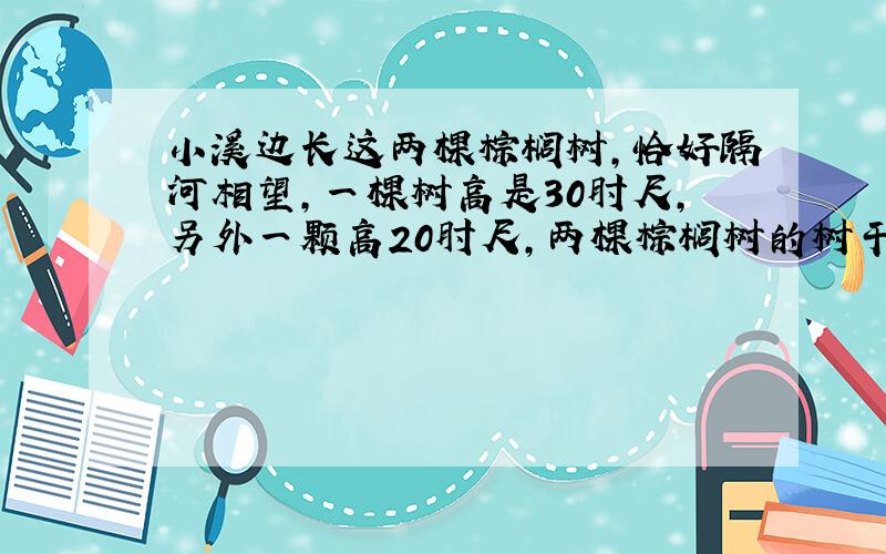 小溪边长这两棵棕榈树,恰好隔河相望,一棵树高是30肘尺,另外一颗高20肘尺,两棵棕榈树的树干距离是50肘尺,每棵树的树顶