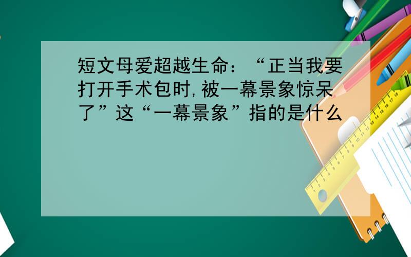 短文母爱超越生命：“正当我要打开手术包时,被一幕景象惊呆了”这“一幕景象”指的是什么