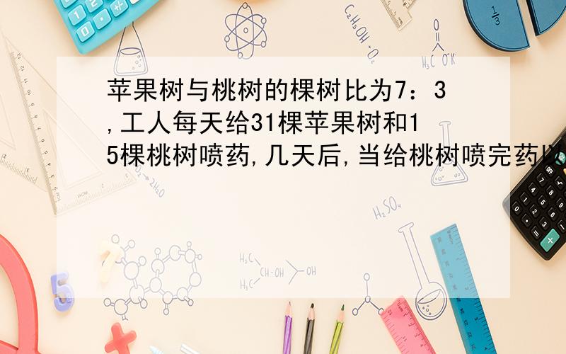 苹果树与桃树的棵树比为7：3,工人每天给31棵苹果树和15棵桃树喷药,几天后,当给桃树喷完药以后,发现还有24棵苹果树没