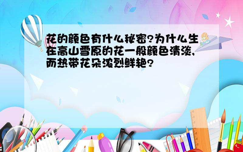 花的颜色有什么秘密?为什么生在高山雪原的花一般颜色清淡,而热带花朵浓烈鲜艳?