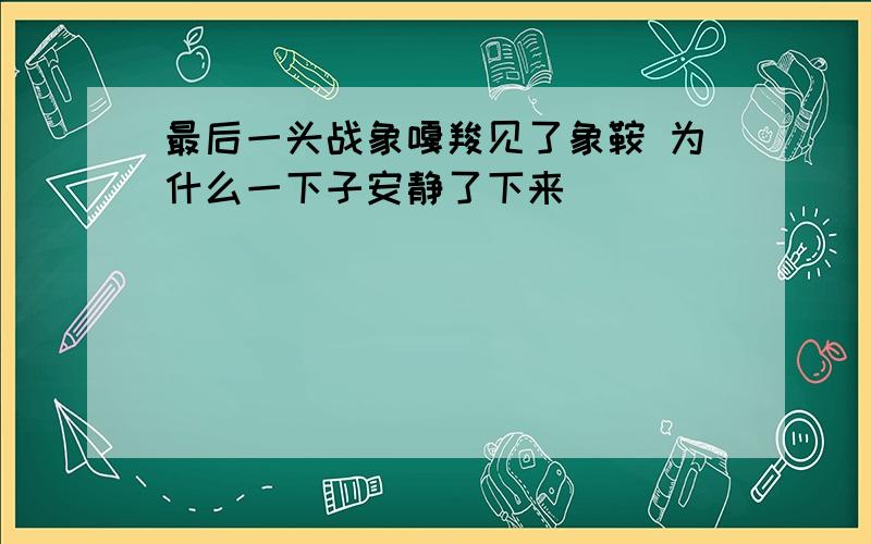 最后一头战象嘎羧见了象鞍 为什么一下子安静了下来