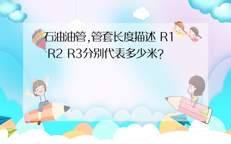 石油油管,管套长度描述 R1 R2 R3分别代表多少米?