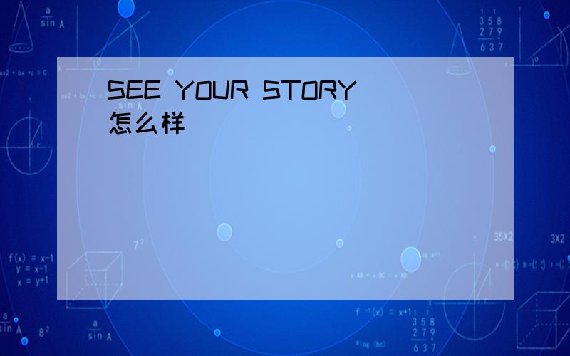 SEE YOUR STORY怎么样