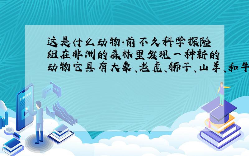 这是什么动物.前不久科学探险组在非洲的森林里发现一种新的动物它具有大象、老虎、狮子、山羊、和牛的外表特征.其中的一位专家