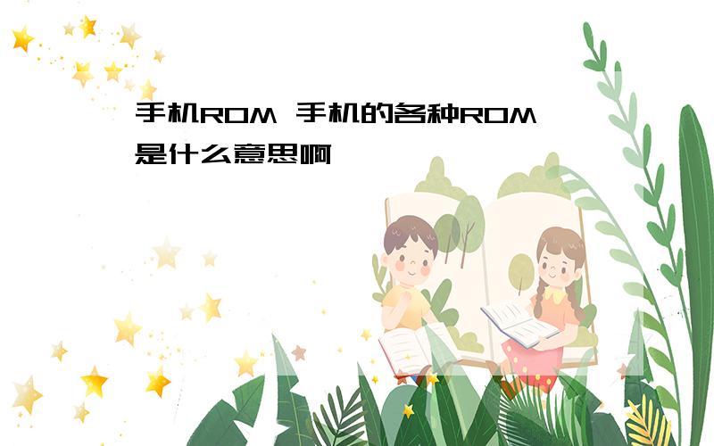 手机ROM 手机的各种ROM是什么意思啊