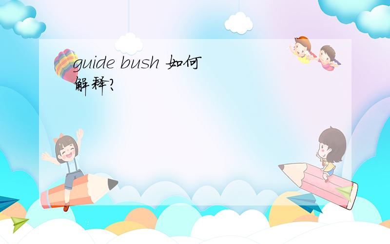 guide bush 如何 解释?