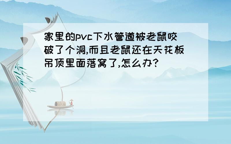 家里的pvc下水管道被老鼠咬破了个洞,而且老鼠还在天花板吊顶里面落窝了,怎么办?