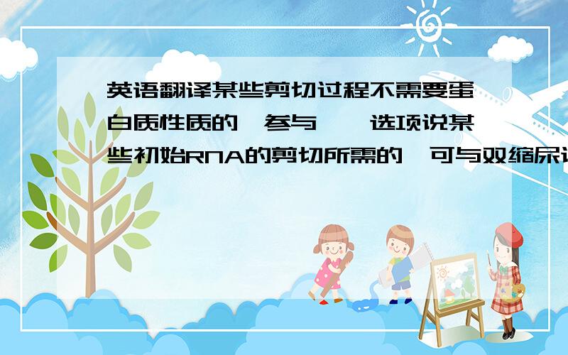 英语翻译某些剪切过程不需要蛋白质性质的酶参与……选项说某些初始RNA的剪切所需的酶可与双缩尿试剂反应呈紫色,答案说是错的