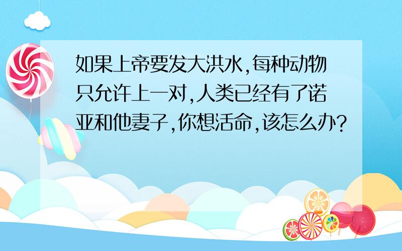 如果上帝要发大洪水,每种动物只允许上一对,人类已经有了诺亚和他妻子,你想活命,该怎么办?