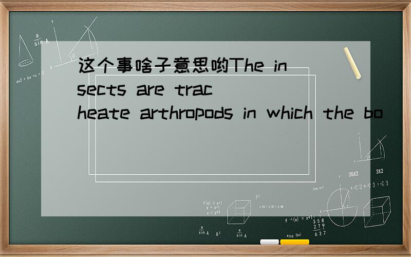 这个事啥子意思哟The insects are tracheate arthropods in which the bo