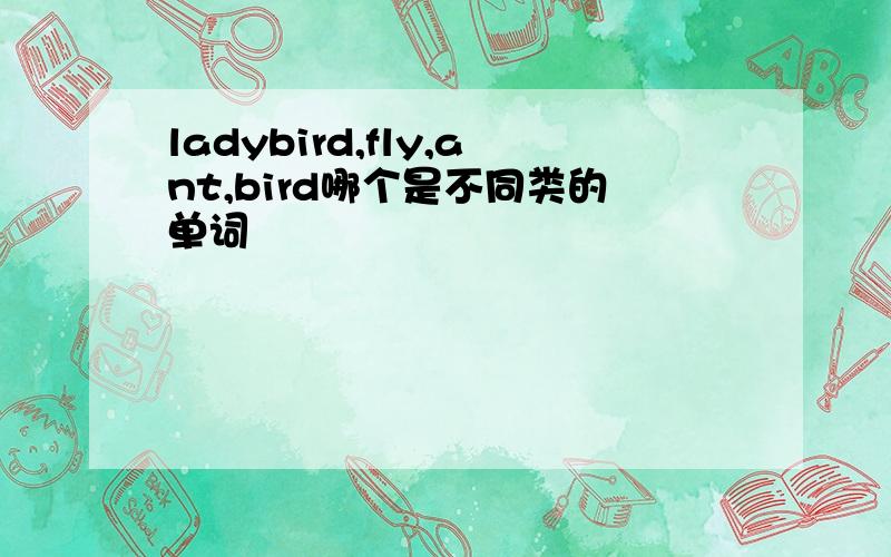 ladybird,fly,ant,bird哪个是不同类的单词