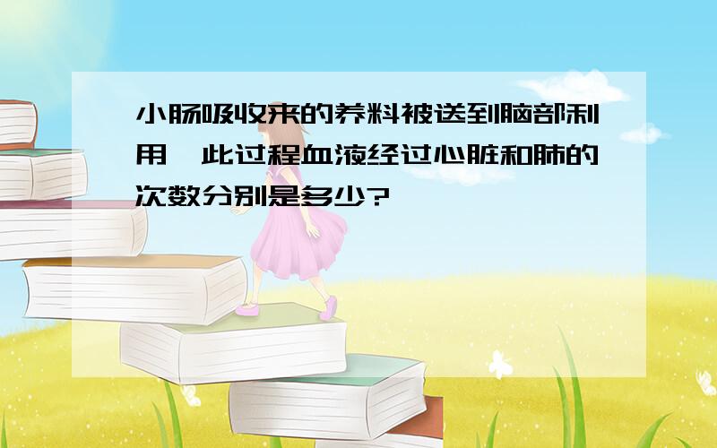 小肠吸收来的养料被送到脑部利用,此过程血液经过心脏和肺的次数分别是多少?