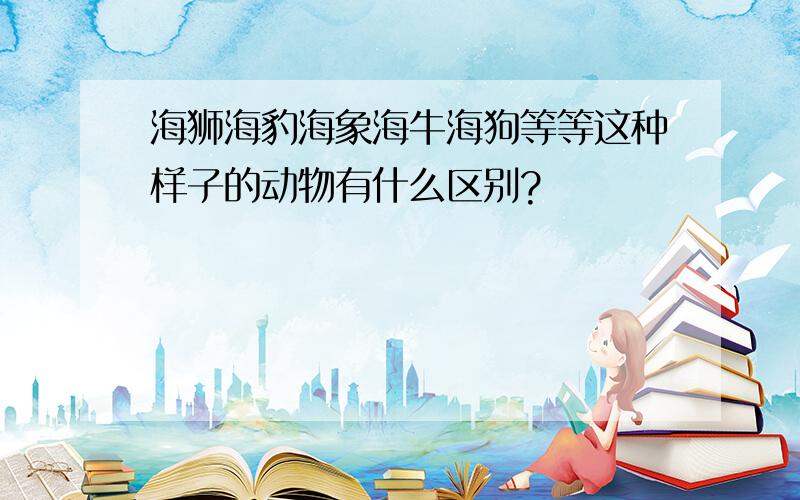 海狮海豹海象海牛海狗等等这种样子的动物有什么区别?