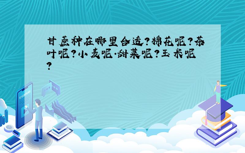 甘蔗种在哪里合适?棉花呢?茶叶呢?小麦呢.甜菜呢?玉米呢?