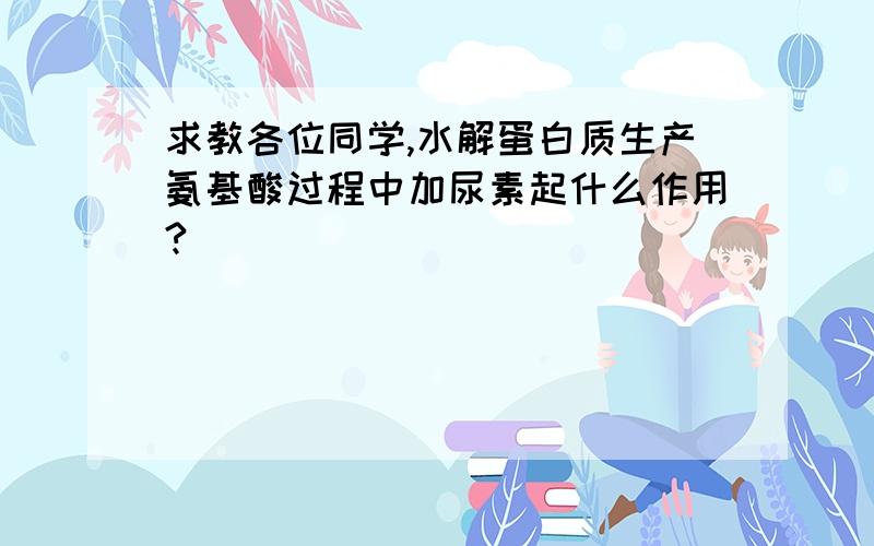 求教各位同学,水解蛋白质生产氨基酸过程中加尿素起什么作用?