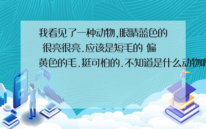 我看见了一种动物,眼睛蓝色的 很亮很亮.应该是短毛的 偏黄色的毛.挺可怕的.不知道是什么动物呢?在线