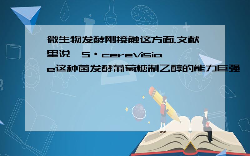 微生物发酵刚接触这方面.文献里说,S·cerevisiae这种菌发酵葡萄糖制乙醇的能力巨强,而所以希望将它改造成发酵木糖