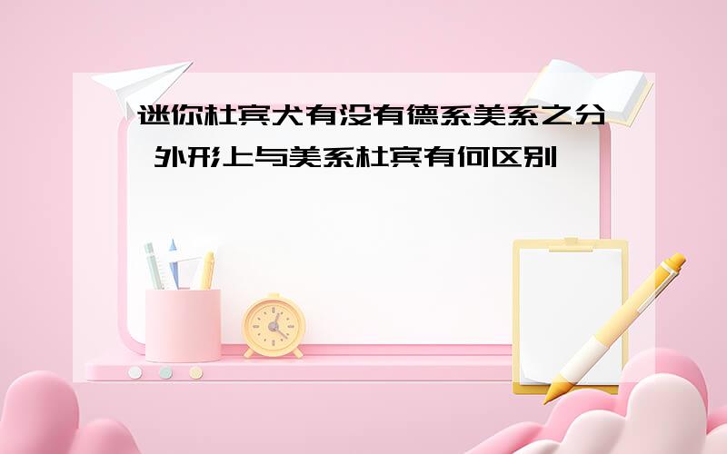 迷你杜宾犬有没有德系美系之分 外形上与美系杜宾有何区别