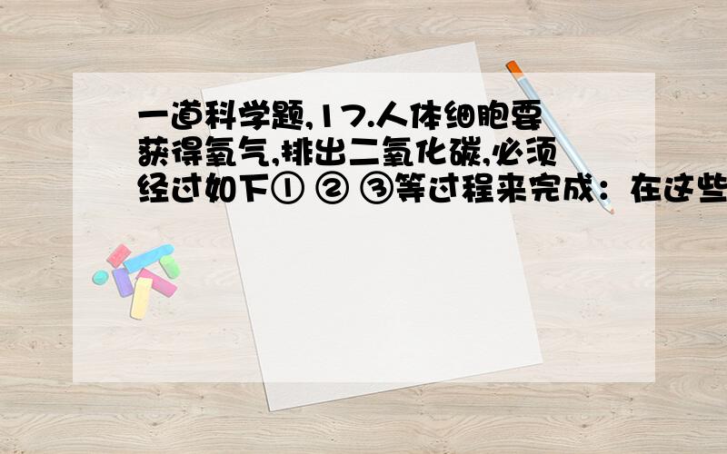 一道科学题,17.人体细胞要获得氧气,排出二氧化碳,必须经过如下① ② ③等过程来完成：在这些过程中,发生气体交换的有：