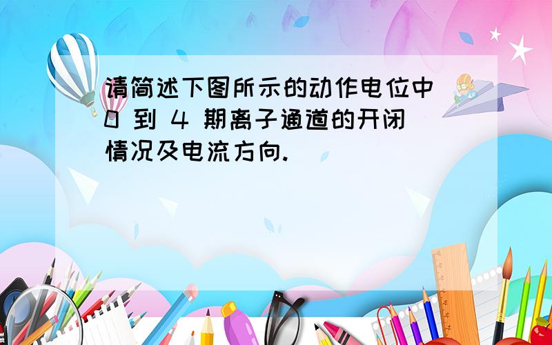 请简述下图所示的动作电位中 0 到 4 期离子通道的开闭情况及电流方向.