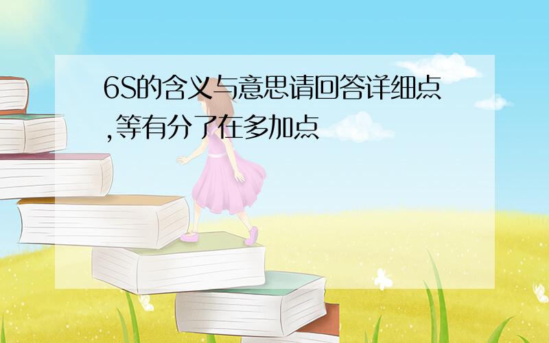 6S的含义与意思请回答详细点,等有分了在多加点