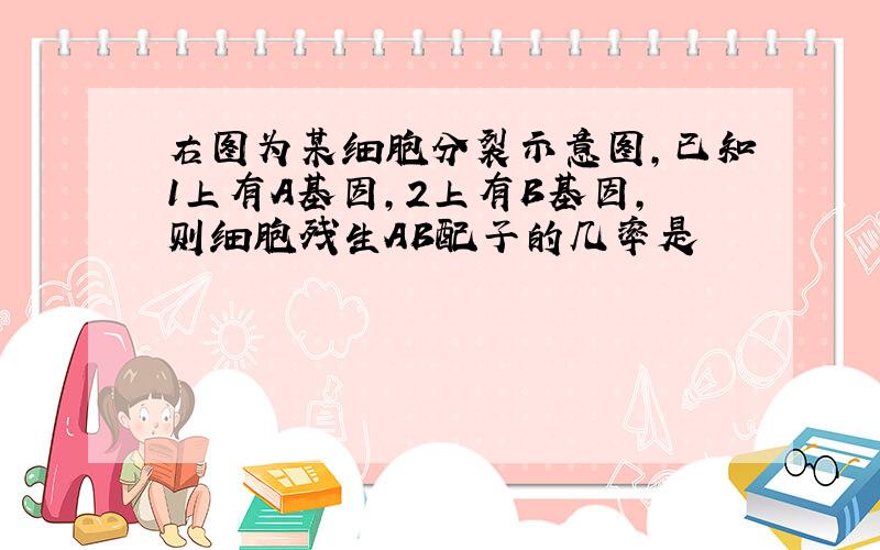 右图为某细胞分裂示意图,已知1上有A基因,2上有B基因,则细胞残生AB配子的几率是