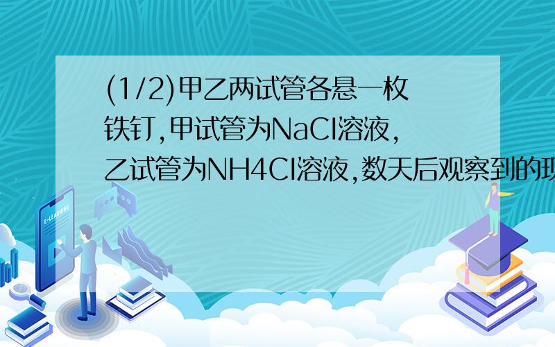 (1/2)甲乙两试管各悬一枚铁钉,甲试管为NaCI溶液,乙试管为NH4CI溶液,数天后观察到的现象是 甲...