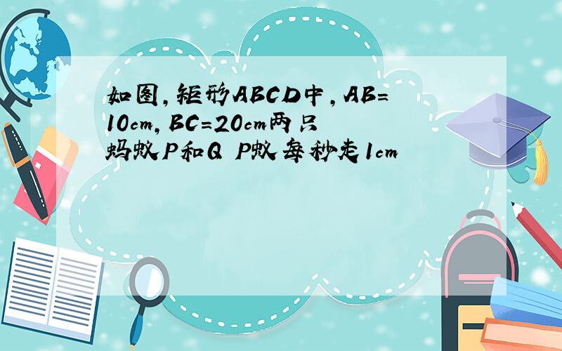 如图,矩形ABCD中,AB=10cm,BC=20cm两只蚂蚁P和Q P蚁每秒走1cm