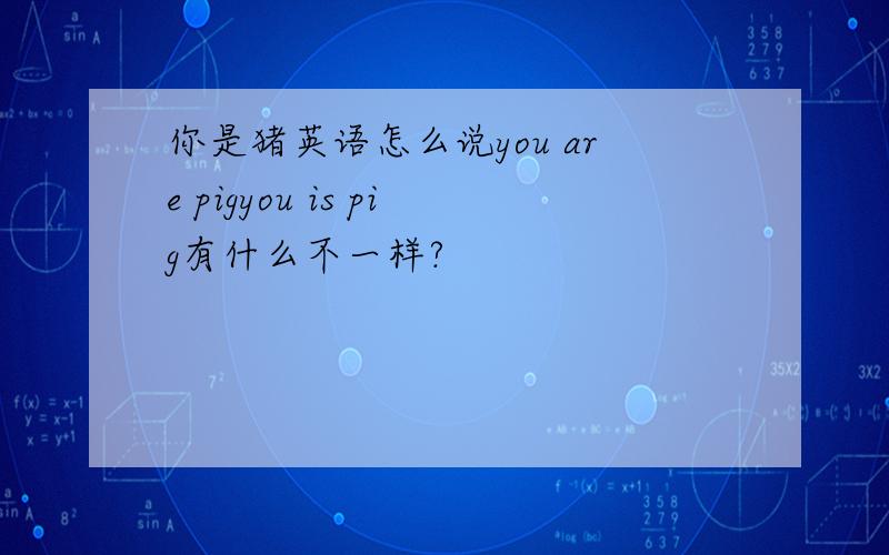 你是猪英语怎么说you are pigyou is pig有什么不一样?