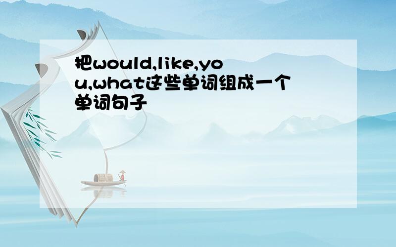 把would,like,you,what这些单词组成一个单词句子