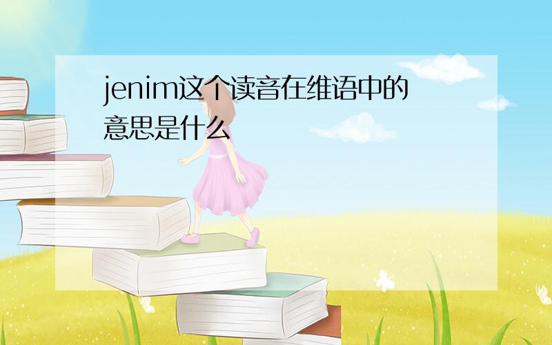 jenim这个读音在维语中的意思是什么