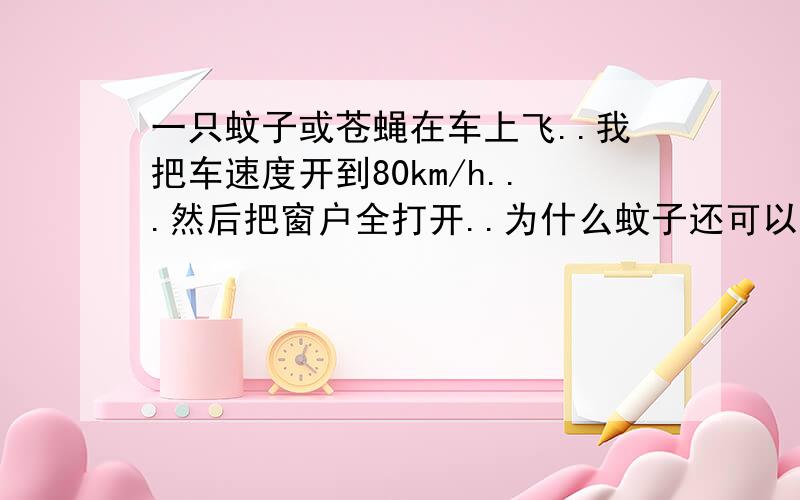 一只蚊子或苍蝇在车上飞..我把车速度开到80km/h...然后把窗户全打开..为什么蚊子还可以在车上悠哉的飞着?