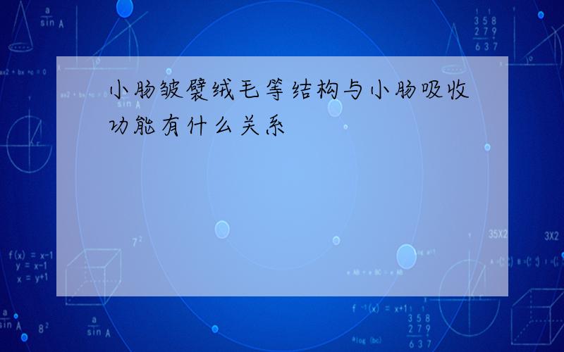 小肠皱襞绒毛等结构与小肠吸收功能有什么关系