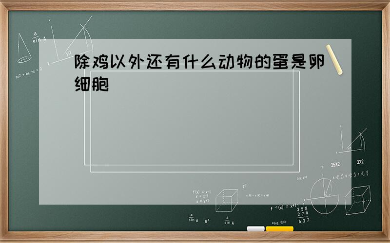 除鸡以外还有什么动物的蛋是卵细胞