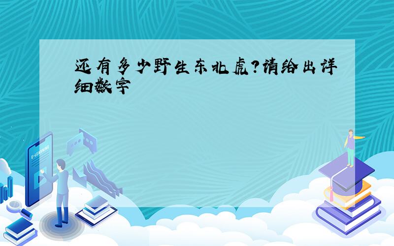 还有多少野生东北虎?请给出详细数字