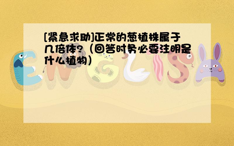 [紧急求助]正常的葱植株属于几倍体?（回答时务必要注明是什么植物）