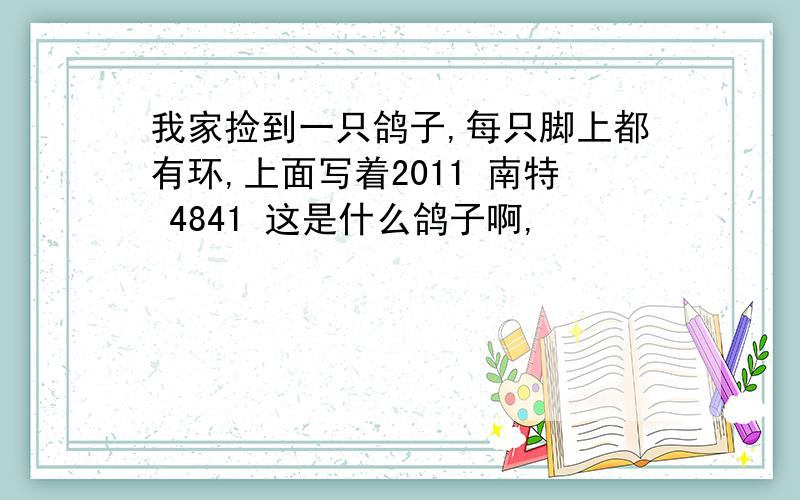 我家捡到一只鸽子,每只脚上都有环,上面写着2011 南特 4841 这是什么鸽子啊,