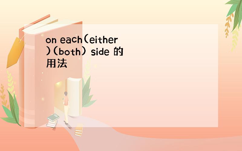 on each(either)(both) side 的用法