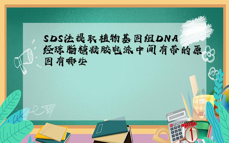 SDS法提取植物基因组DNA经琼脂糖凝胶电泳中间有带的原因有哪些