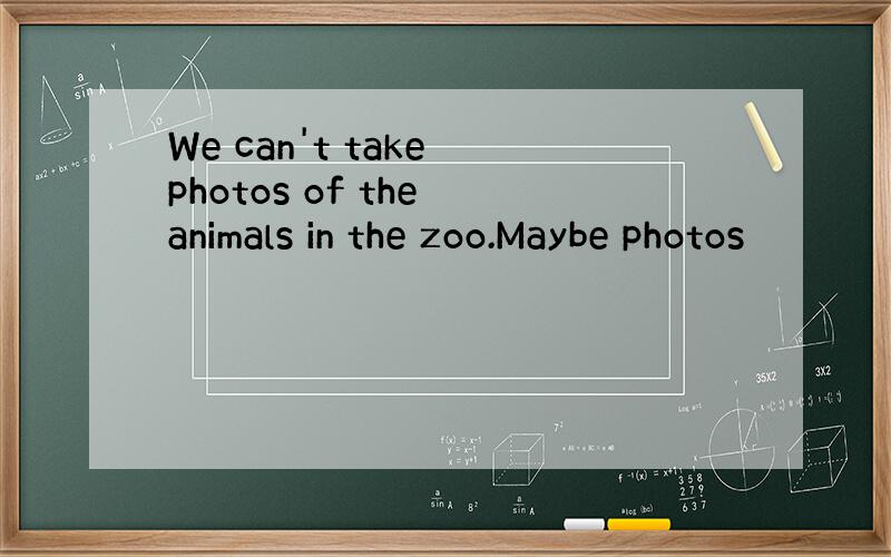 We can't take photos of the animals in the zoo.Maybe photos