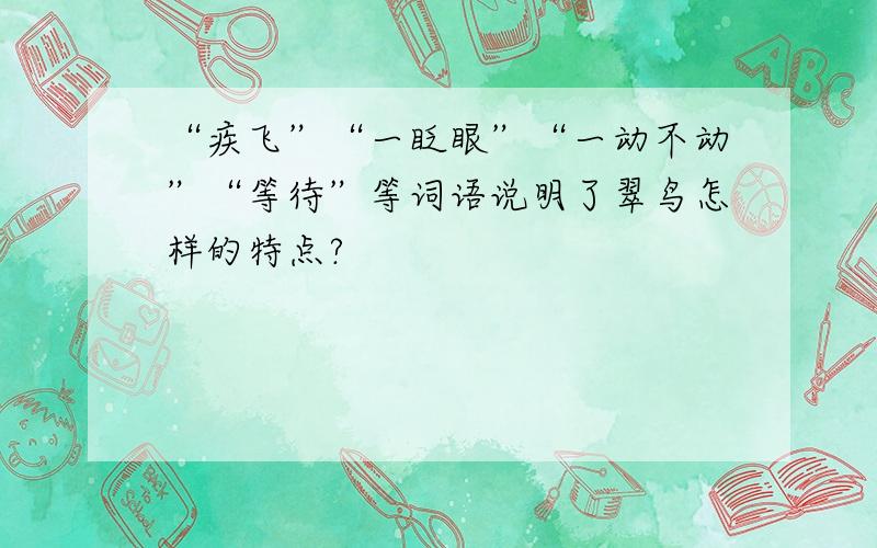 “疾飞”“一眨眼”“一动不动”“等待”等词语说明了翠鸟怎样的特点?