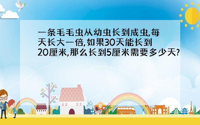 一条毛毛虫从幼虫长到成虫,每天长大一倍,如果30天能长到20厘米,那么长到5厘米需要多少天?