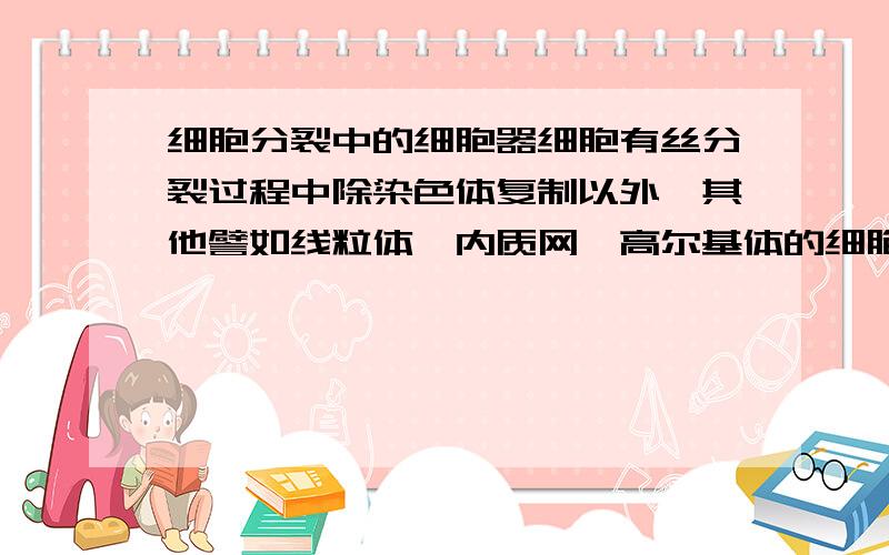 细胞分裂中的细胞器细胞有丝分裂过程中除染色体复制以外,其他譬如线粒体,内质网,高尔基体的细胞器如何分配到子代细胞?