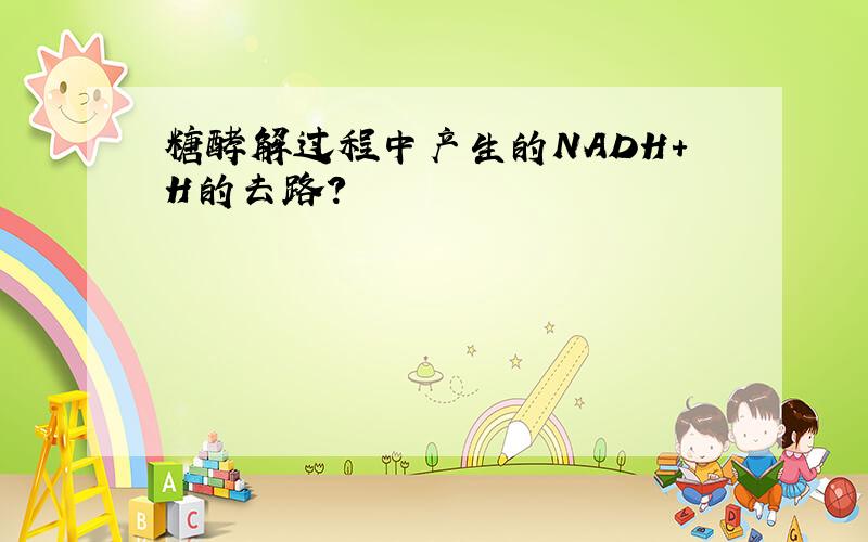 糖酵解过程中产生的NADH+H的去路?