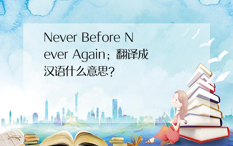 Never Before Never Again；翻译成汉语什么意思?