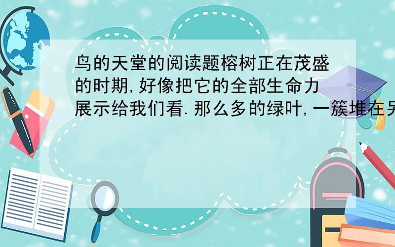 鸟的天堂的阅读题榕树正在茂盛的时期,好像把它的全部生命力展示给我们看.那么多的绿叶,一簇堆在另一簇上面,不留一点缝隙.那