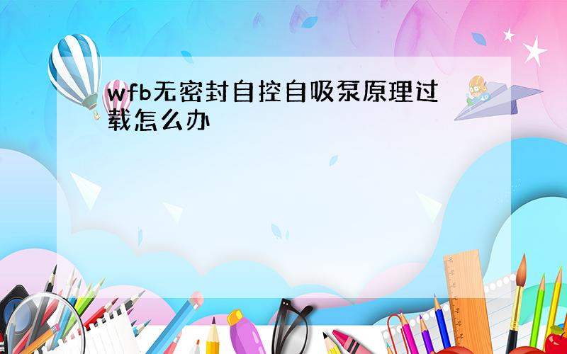 wfb无密封自控自吸泵原理过载怎么办