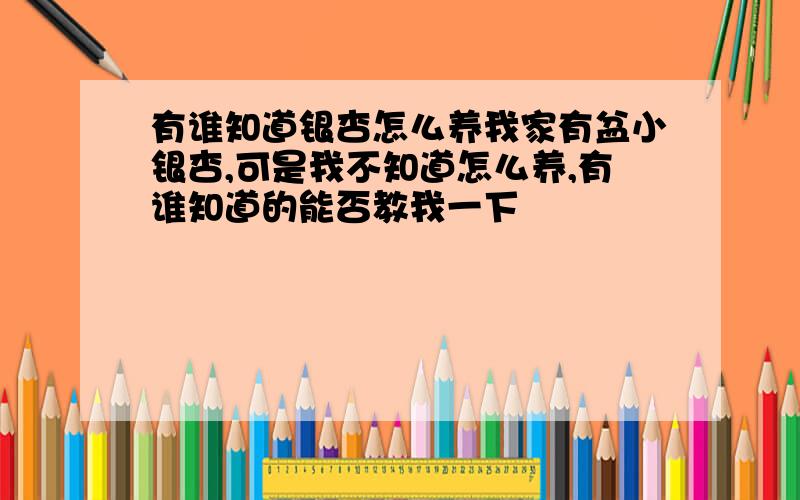 有谁知道银杏怎么养我家有盆小银杏,可是我不知道怎么养,有谁知道的能否教我一下