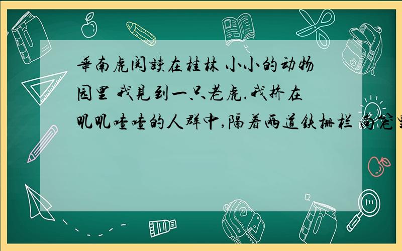 华南虎阅读在桂林 小小的动物园里 我见到一只老虎.我挤在叽叽喳喳的人群中,隔着两道铁栅栏 向笼里的老虎 张望了许久许久,